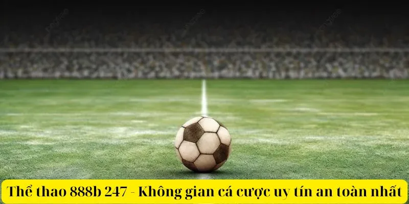 Thể thao 888b 247 - Không gian cá cược uy tín an toàn nhất